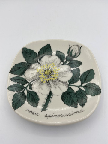 Botanica väggtavla Midsommarros
