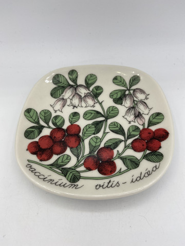 Botanica seinälautanen Puolukka