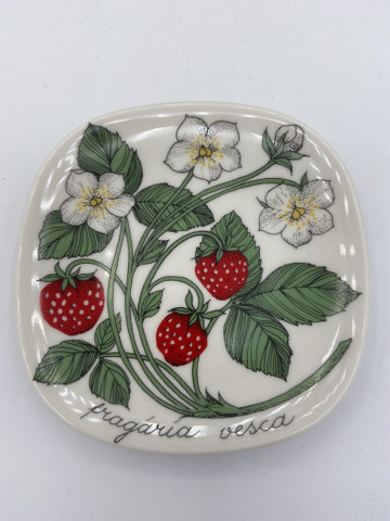 Botanica seinälautanen Aho mansikka