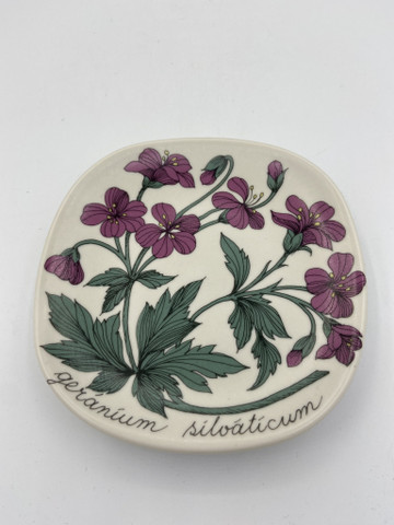 Botanica seinälautanen Metsäkurjenpolvi