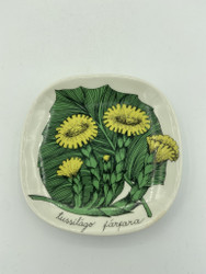 Botanica wall plate Coltsfoot