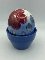 Forever Flower Saint Paulia blue pot