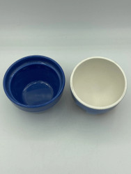 Forever Flower Saint Paulia blue pot