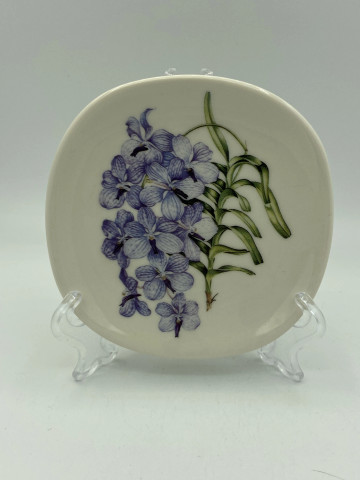 Seinälautanen WWF Plants campaign, Vanda coerulea