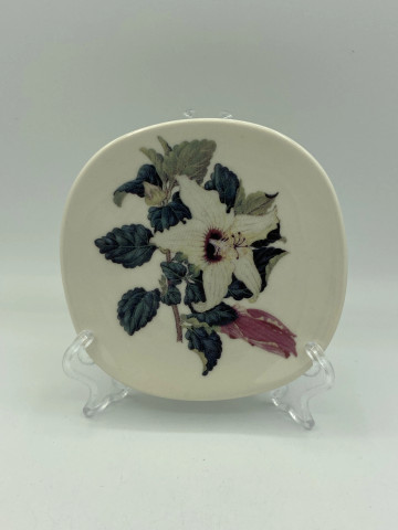 Seinälautanen WWF Plants campaign, Hibiscus insularis