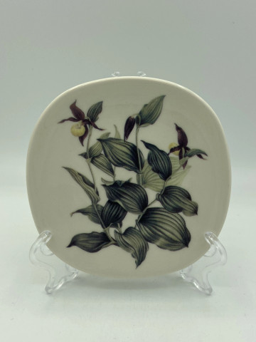 Seinälautanen WWF Plants campaign, Cypripedium calceolus