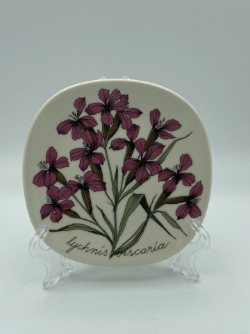 Botanica seinätaulu Mäkitervakko