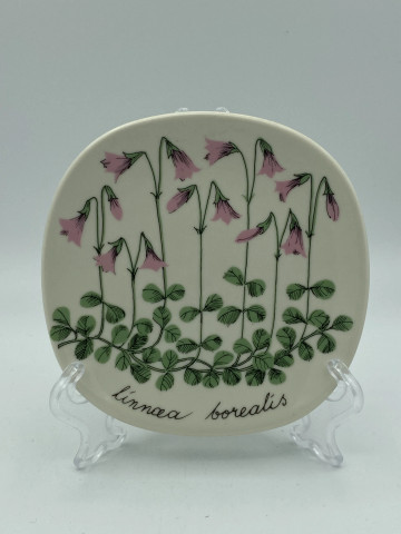 Botanica seinätaulu Vanamo