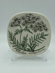 Botanica väggtavla, Yarrow