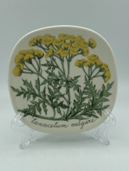 Botanica väggtavla, Renfana