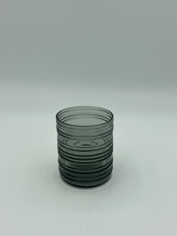 Rustica snapsilasi, harmaa