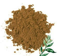 Brandy 10 g #303