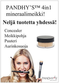 4in1 Meikkiesite