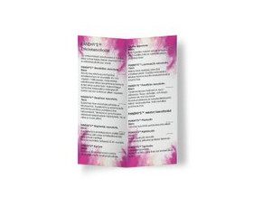 PANDHY’S™ Kasvohoidot hinnasto