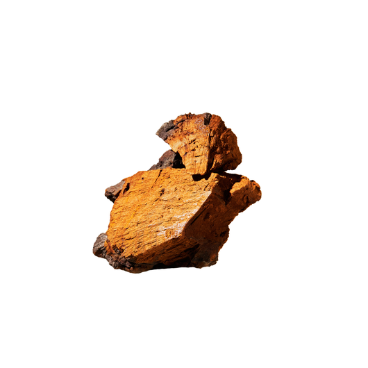 Pakuriuute