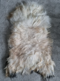 Lampaantalja kirjava