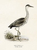 Sköna Ting printti haikara 18 x 24  cm 