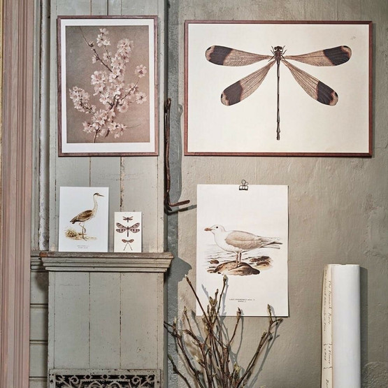 Sköna Ting printti haikara 18 x 24  cm 