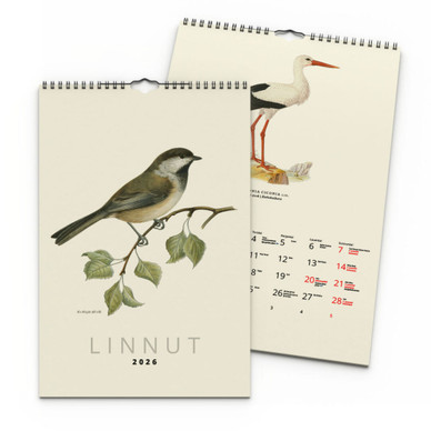 Seinäkalenteri 2026 Linnut