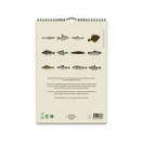 Seinäkalenteri 2026 Kalat