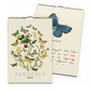 Seinäkalenteri 2026 Perhoset