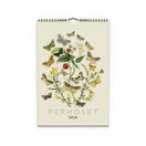 Seinäkalenteri 2026 Perhoset