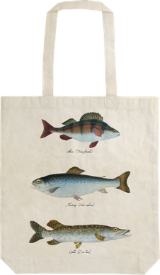 Sköna ting kangaskassi kalat