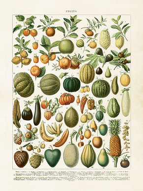 Sköna Ting printti hedelmät 18 x 24  cm 