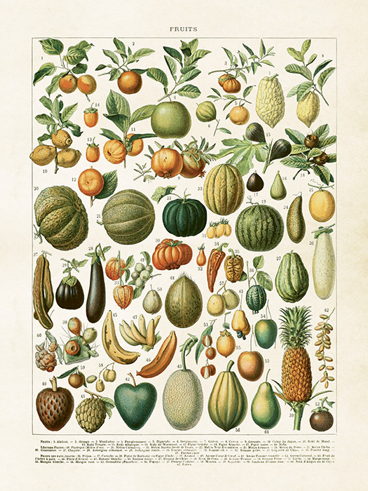 Sköna Ting printti hedelmät 18 x 24  cm 