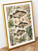 Vanilla Fly juliste 30 x 40  Kalat 2