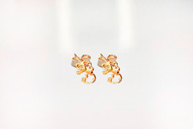 Suomileijona-korvakoru