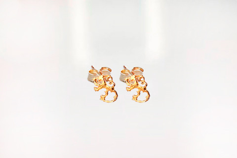 Suomileijona-korvakoru