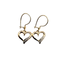 Avosydän koukkukorvakoru