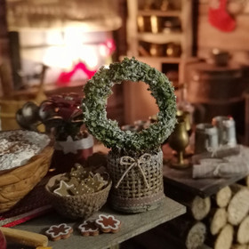 Nukkekodin kasvi - Talvimuratti (hopea)