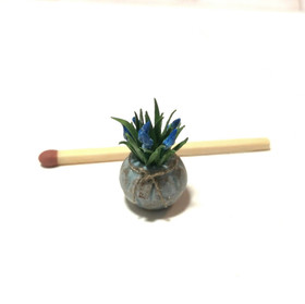 Nukkekodin Helmililjat