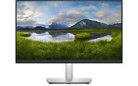 Dell Professional P2422HE 24