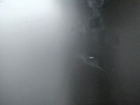 HP ProOne 440 G6 All-in-One i5-10500T 24