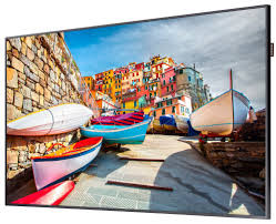 Samsung LH49PMHP 49