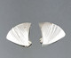 Written in the Wind earrings