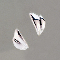Lena silver earrings 