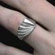 Snowfly ring