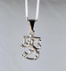 Small Finnish Lion emblem pendant S