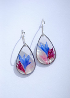 Ruiskaunokki -korvakorut, monivärinen / teräs