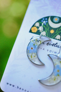 Lemmikki & koiranputki -kuukorvakorut, teräs