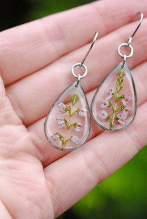 Kanerva -pisarakorvakorut, kirkas/hopea