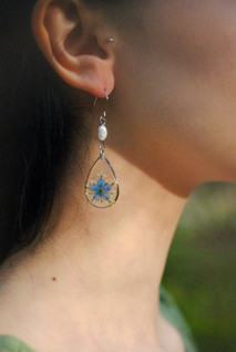 Lemmikki & koiranputki -korvakorut, pisara, teräs