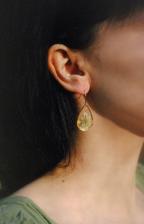 Koiranputki -korvakorut, pisara, kulta