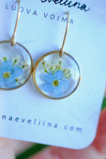 Lemmikki & koiranputki -korvakorut, kulta