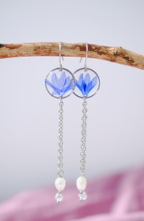 Virta-korvarorut, sininen ruiskaunokki, teräs