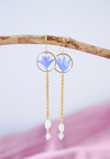 Virta-korvarorut, sininen ruiskaunokki, kulta